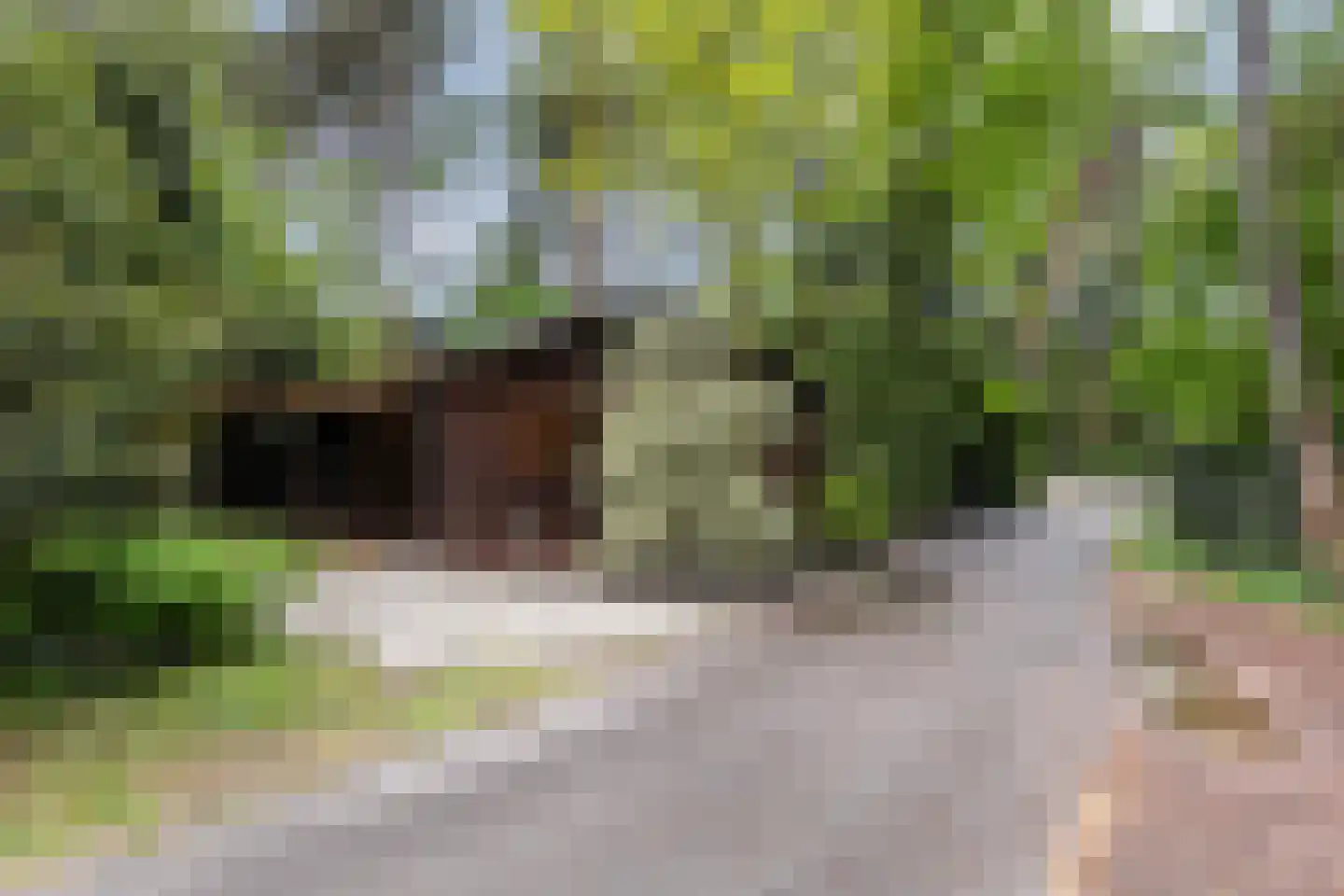 Lage Bergweg 31 H5 Beekbergen thumbnail 26
