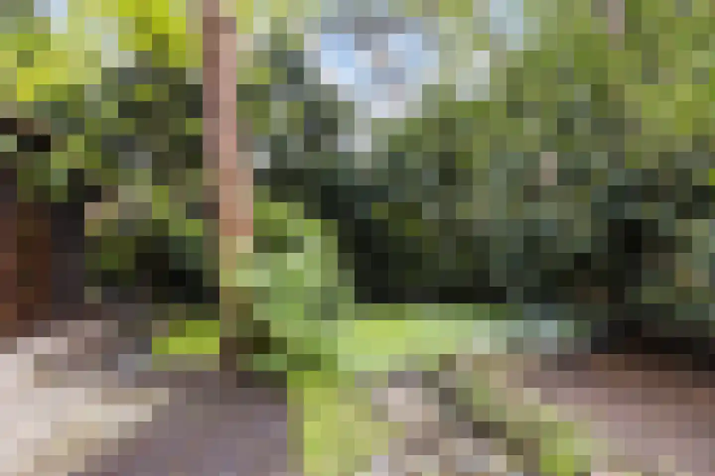 Lage Bergweg 31 H5 Beekbergen thumbnail 31