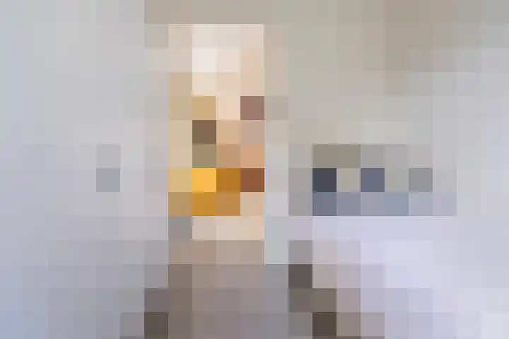 Lage Bergweg 31 L1 Beekbergen thumbnail 18