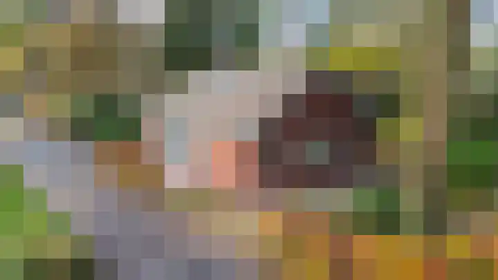 Lage Bergweg 31 L1 Beekbergen thumbnail 30