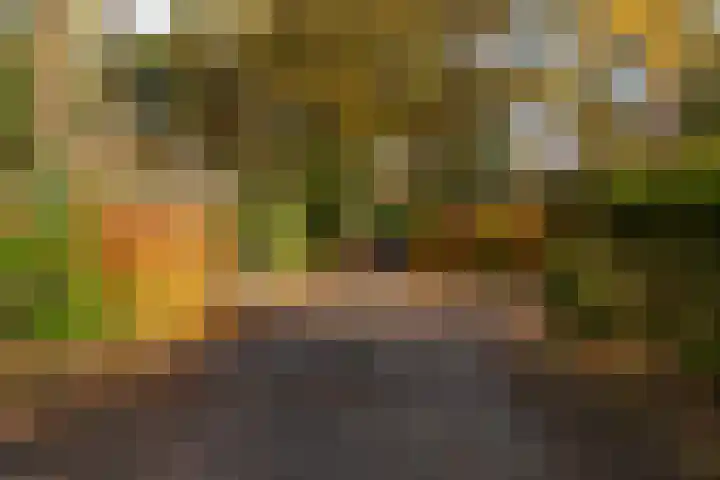 Lage Bergweg 31 L1 Beekbergen thumbnail 31