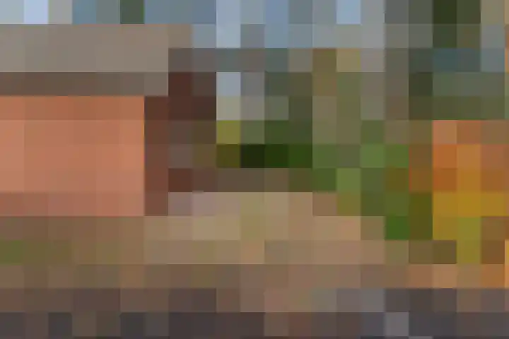 Lage Bergweg 31 L1 Beekbergen thumbnail 33