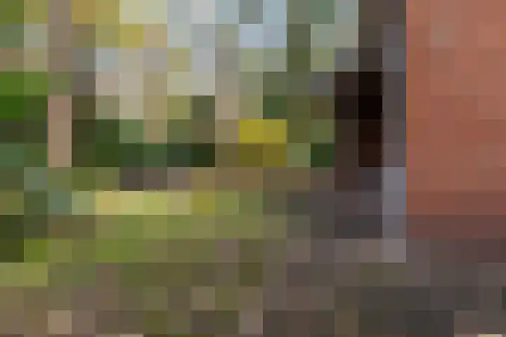 Lage Bergweg 31 L1 Beekbergen thumbnail 38