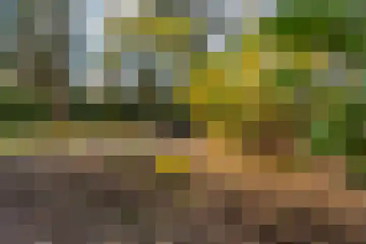 Lage Bergweg 31 L1 Beekbergen thumbnail 40