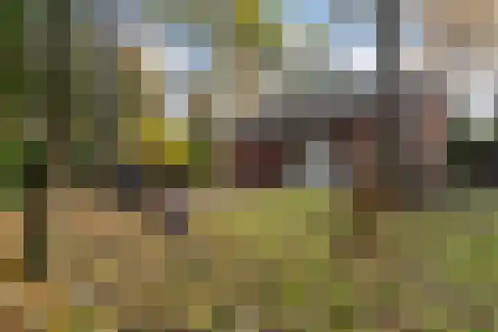 Lage Bergweg 31 L1 Beekbergen thumbnail 42