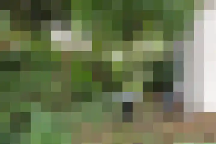 Lage Bergweg 31 P22 Beekbergen thumbnail 18