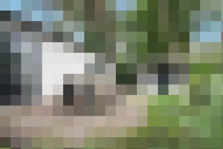 Lage Bergweg 31 P22 Beekbergen thumbnail 20