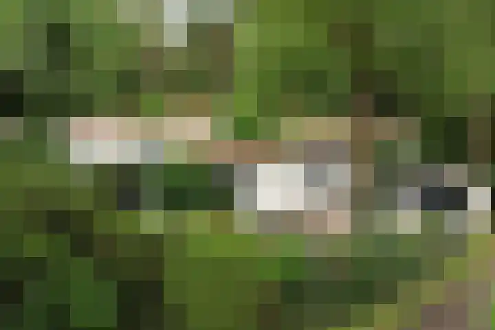 Lage Bergweg 31 P22 Beekbergen thumbnail 22