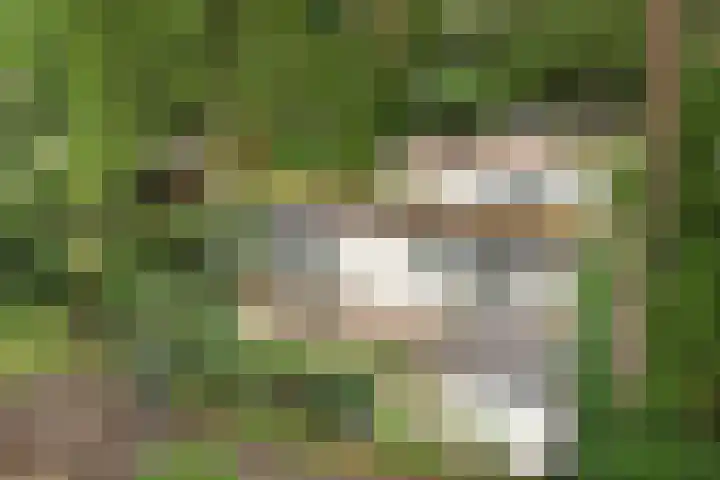 Lage Bergweg 31 P22 Beekbergen thumbnail 23