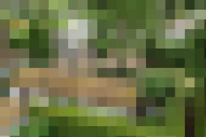 Lage Bergweg 31 P22 Beekbergen thumbnail 24