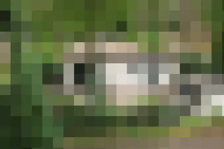 Lage Bergweg 31 P22 Beekbergen thumbnail 25