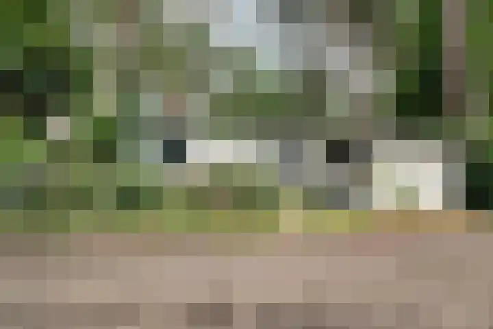 Lage Bergweg 31 P22 Beekbergen thumbnail 26