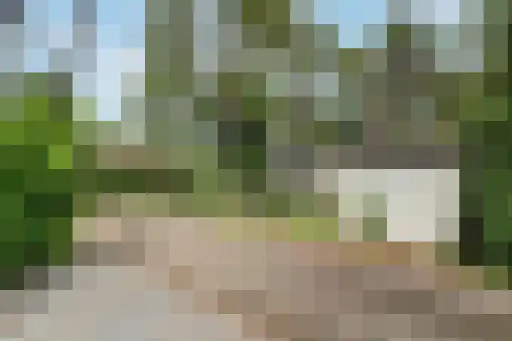 Lage Bergweg 31 P22 Beekbergen thumbnail 27