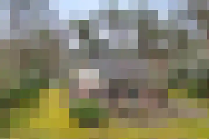 Lage Bergweg 31 Q17 Beekbergen thumbnail 41