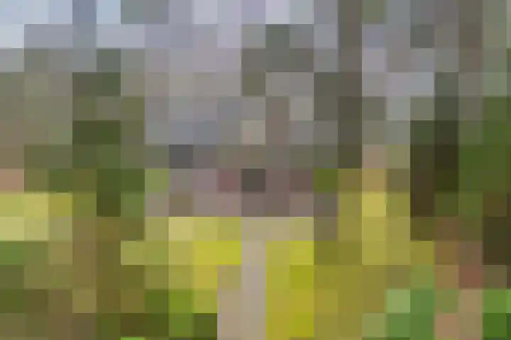 Lage Bergweg 31 Q17 Beekbergen thumbnail 42