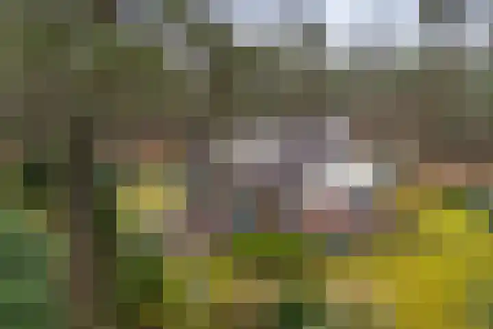 Lage Bergweg 31 Q17 Beekbergen thumbnail 44