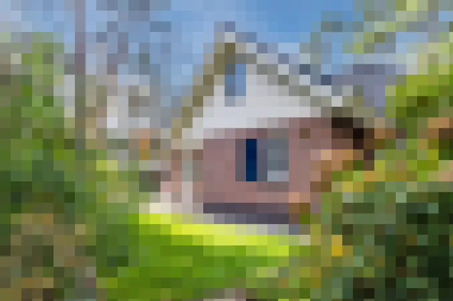 Lage Bergweg 31 Q7 Beekbergen thumbnail 32