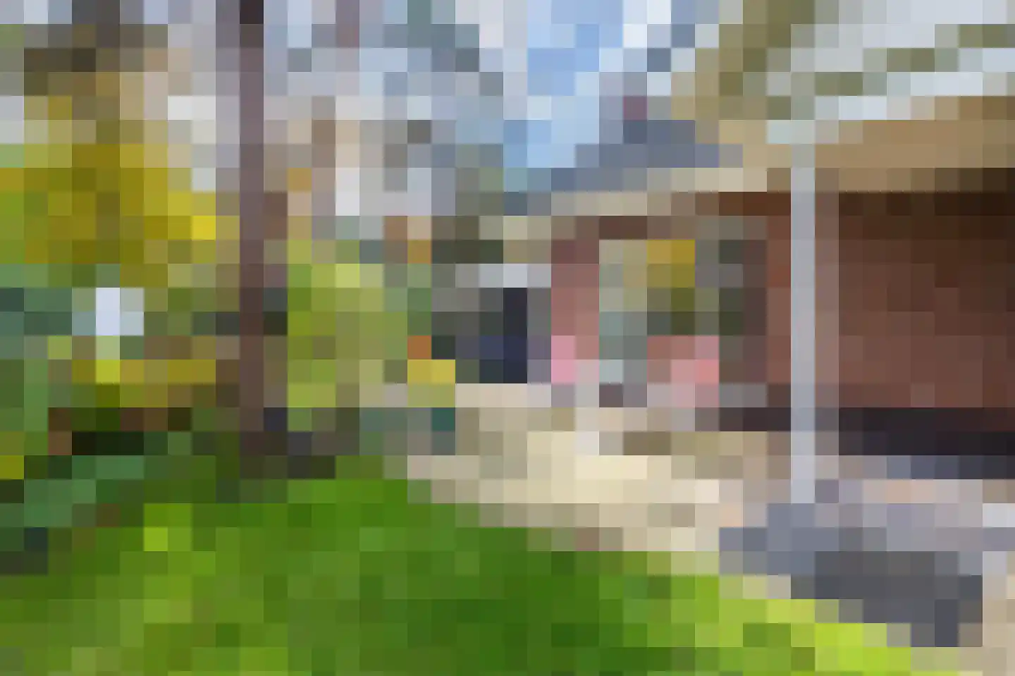 Lage Bergweg 31 Q7 Beekbergen thumbnail 33