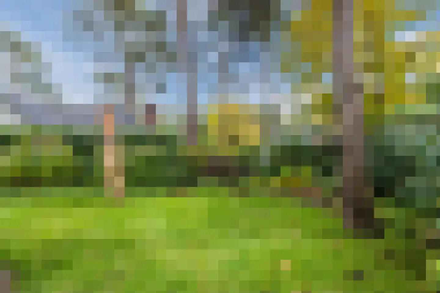 Lage Bergweg 31 Q7 Beekbergen thumbnail 34