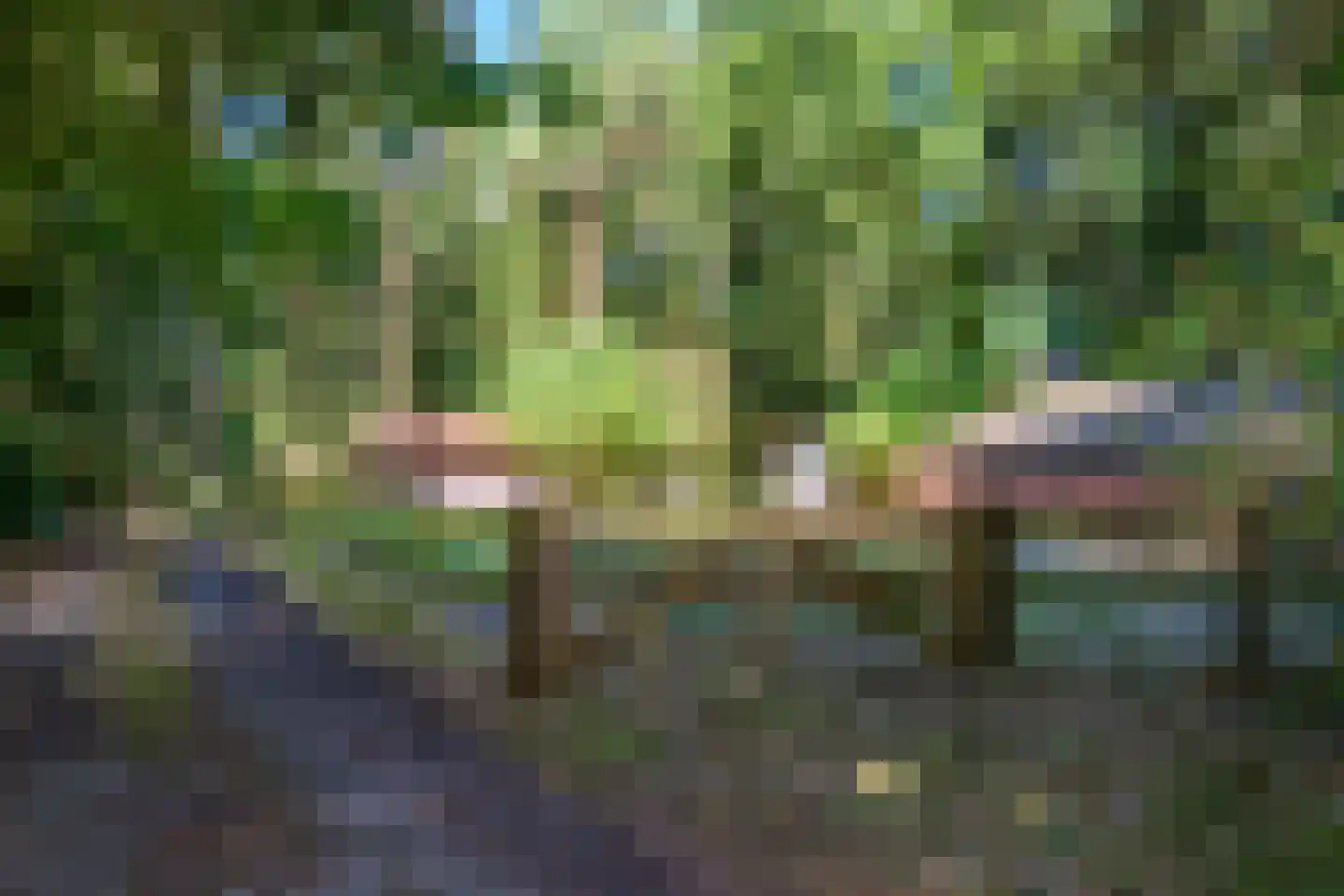 Lage Bergweg 35 Beekbergen thumbnail 13