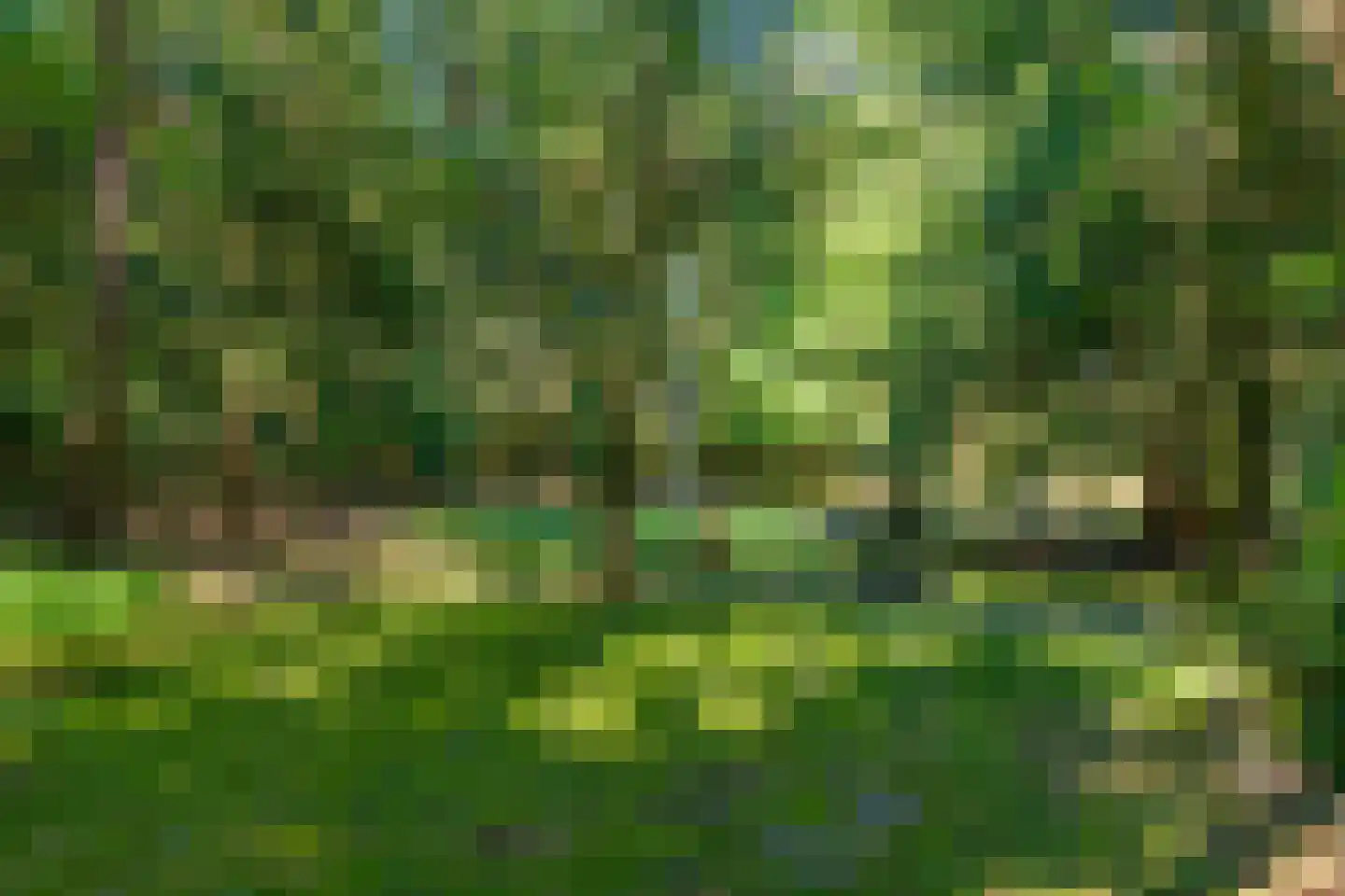 Lage Bergweg 35 Beekbergen thumbnail 25