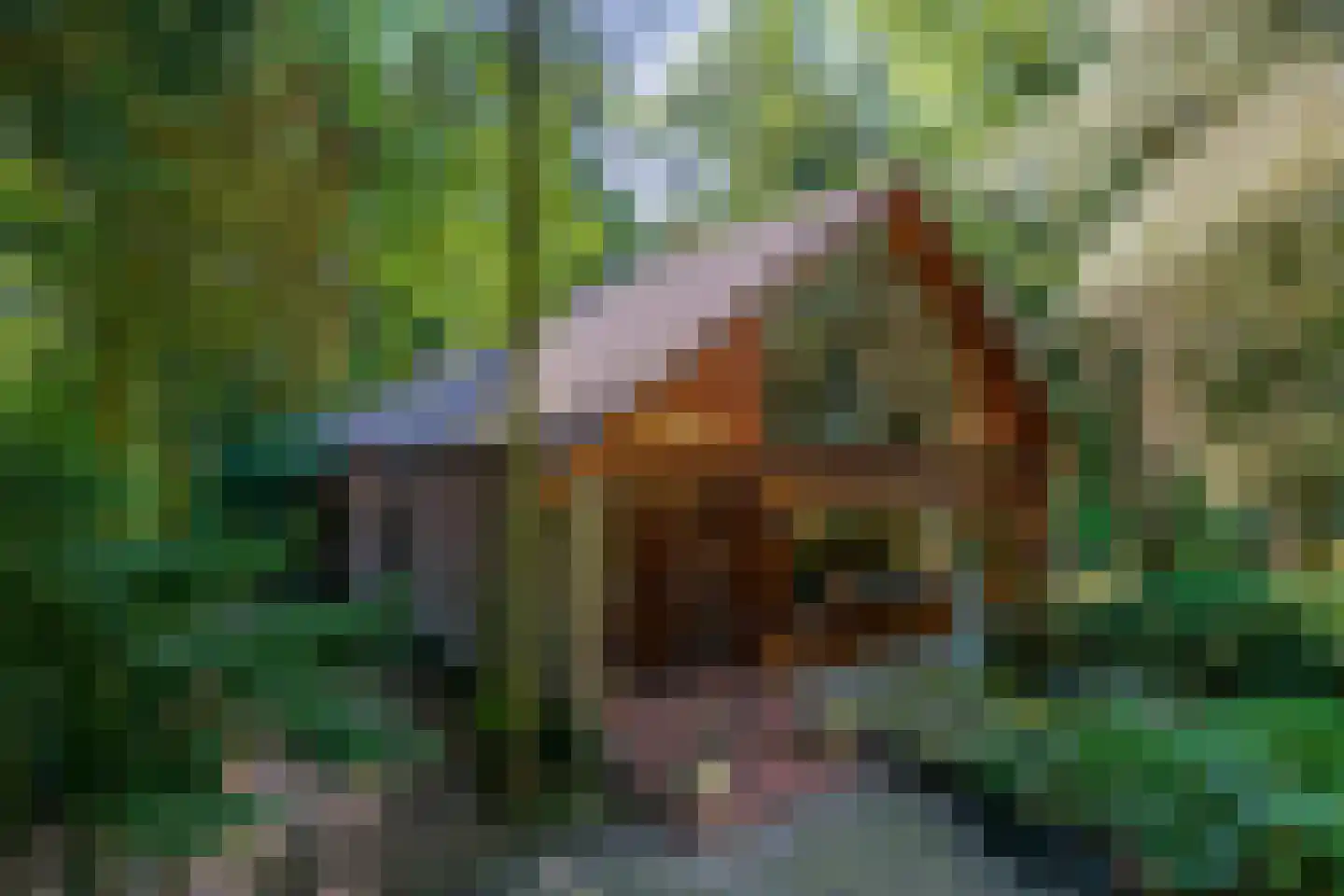 Lage Bergweg 35 Beekbergen thumbnail 26