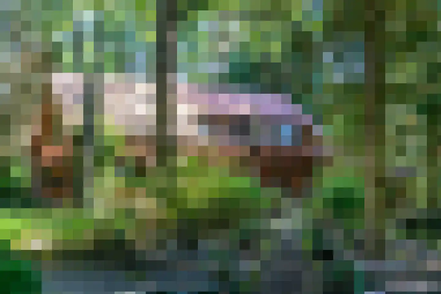 Lage Bergweg 35 Beekbergen thumbnail 28