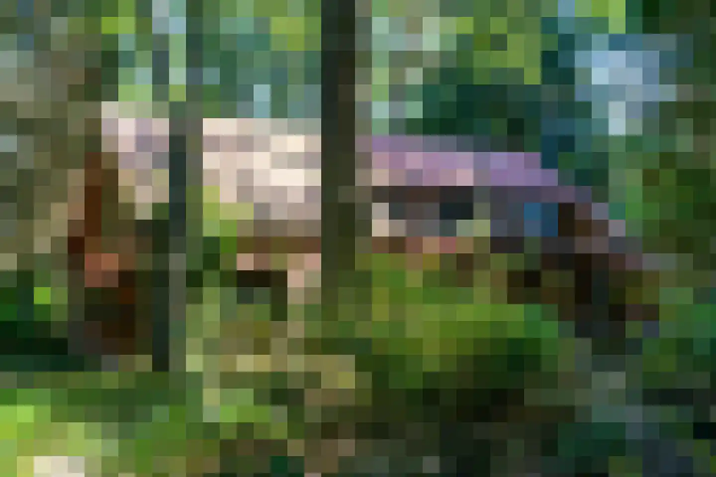 Lage Bergweg 35 Beekbergen thumbnail 29