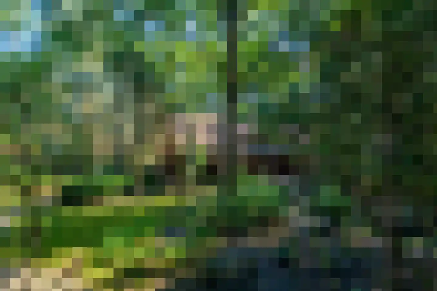 Lage Bergweg 35 Beekbergen thumbnail 4
