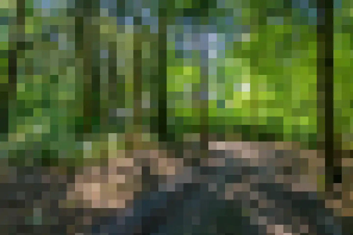 Lage Bergweg 35 Beekbergen thumbnail 7