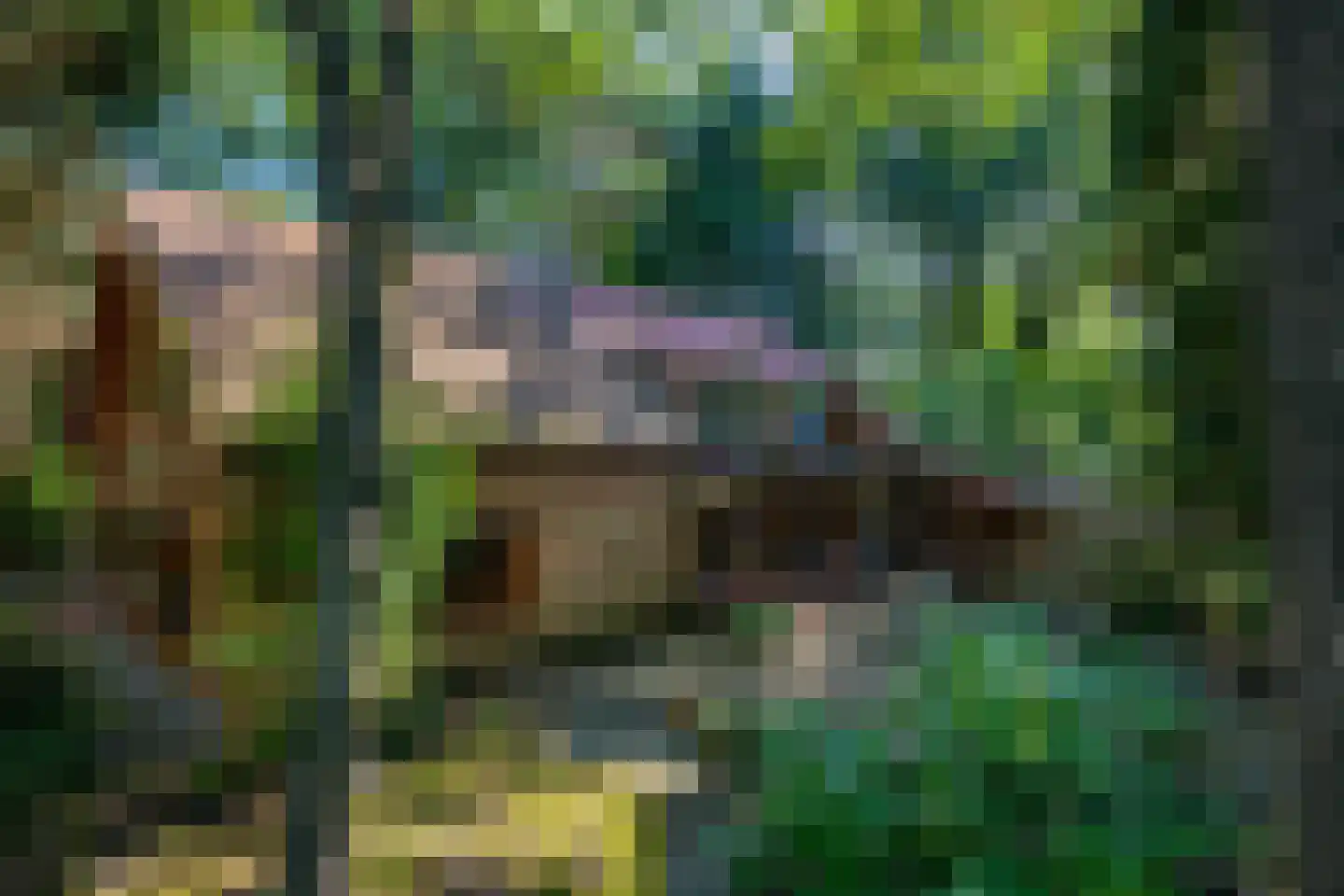 Lage Bergweg 35 Beekbergen thumbnail 9