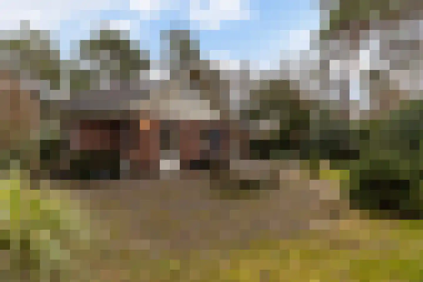 Lage Bergweg 39 32 Beekbergen thumbnail 34