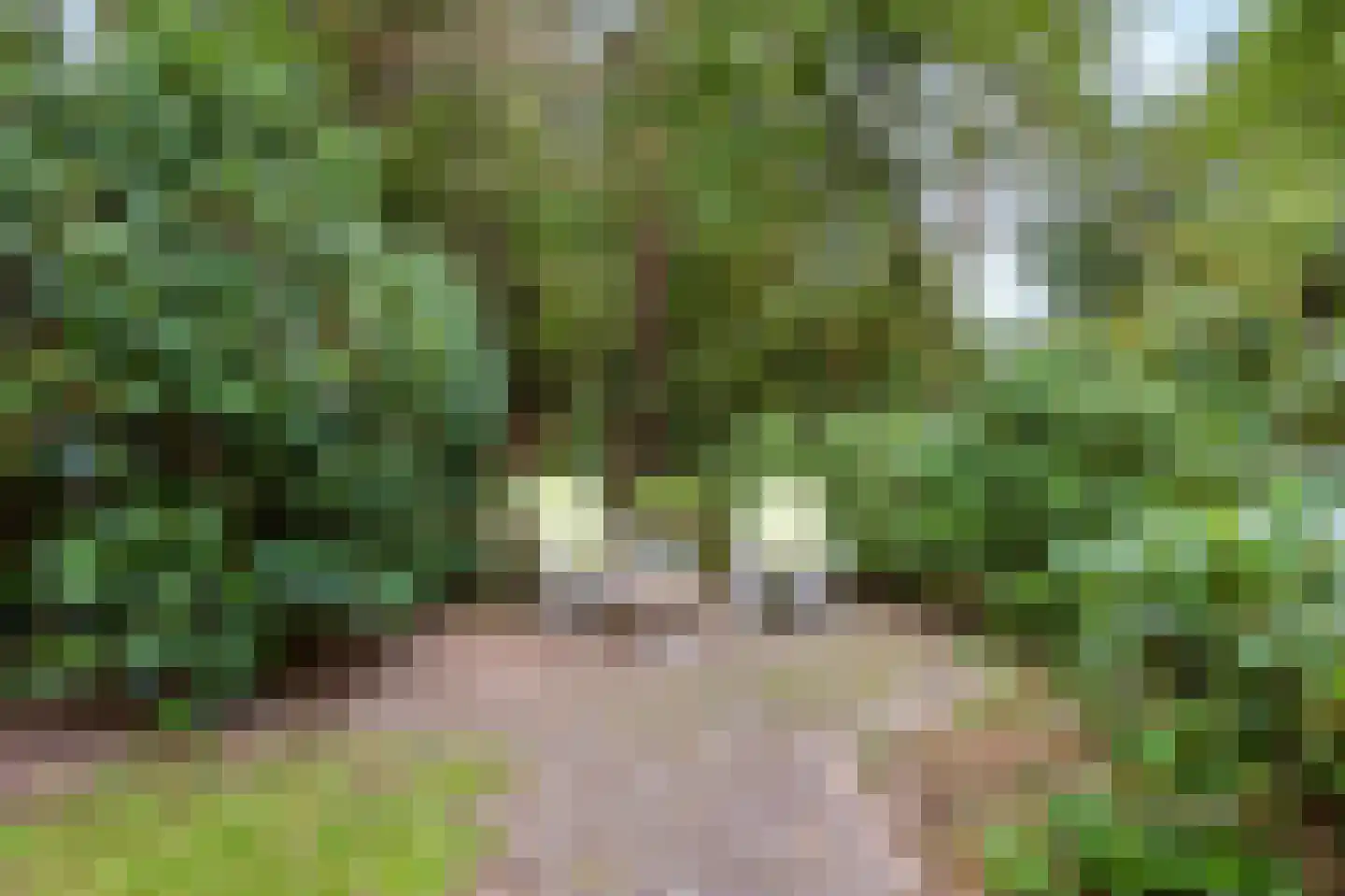 Lage Bergweg 41 11 Beekbergen thumbnail 27