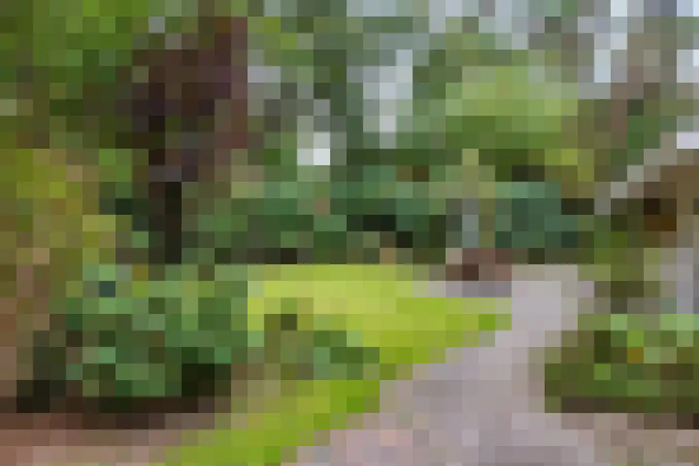 Lage Bergweg 41 11 Beekbergen thumbnail 28