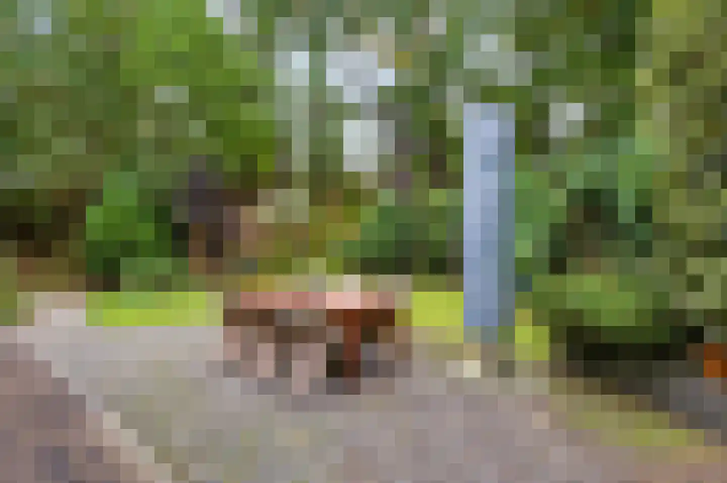 Lage Bergweg 41 11 Beekbergen thumbnail 30