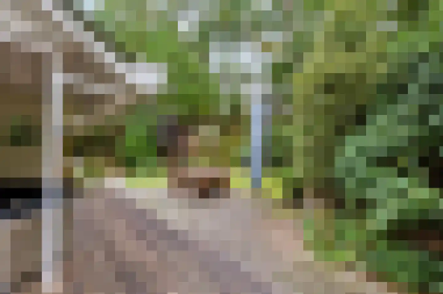 Lage Bergweg 41 11 Beekbergen thumbnail 31