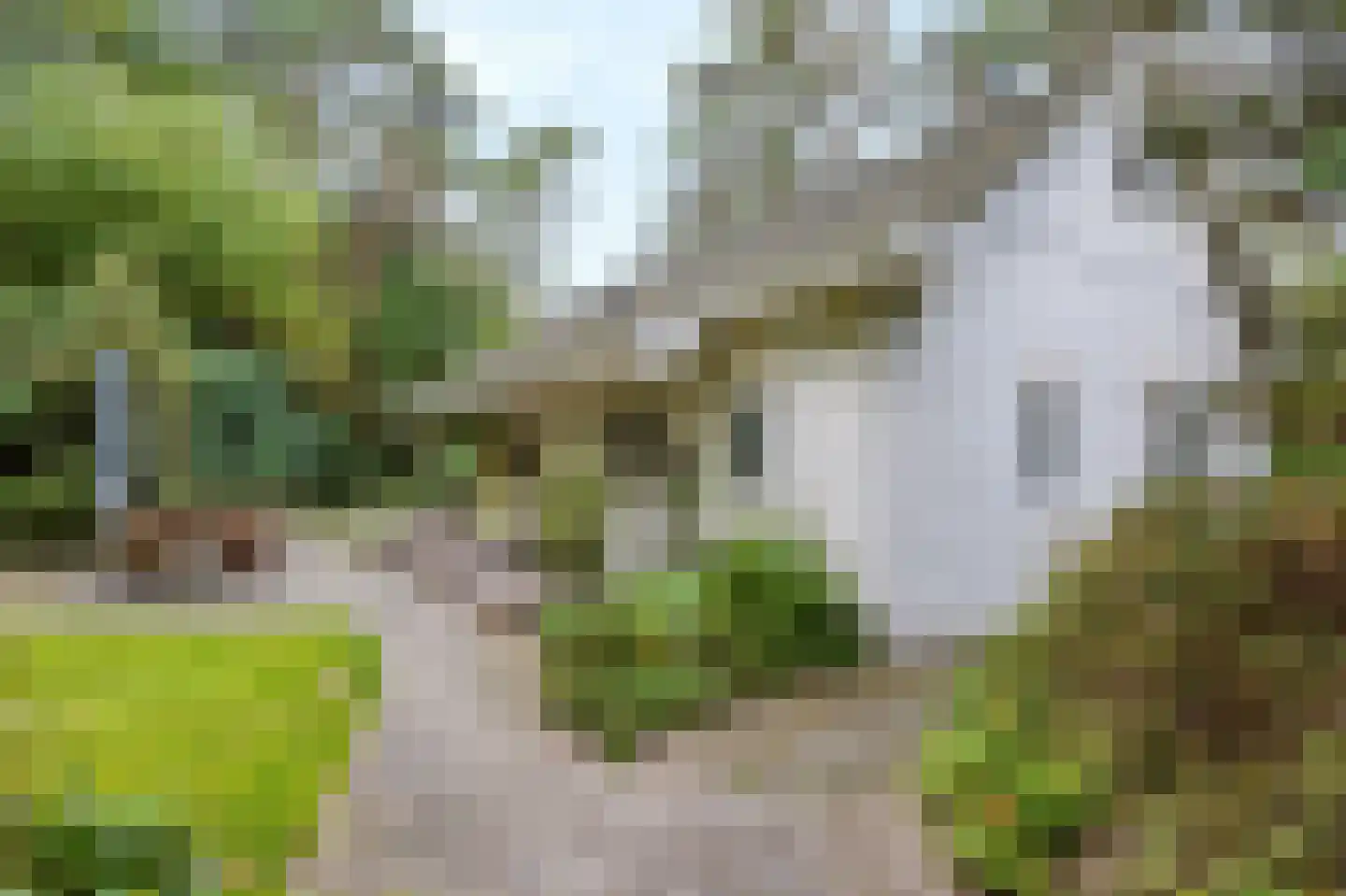Lage Bergweg 41 11 Beekbergen thumbnail 32