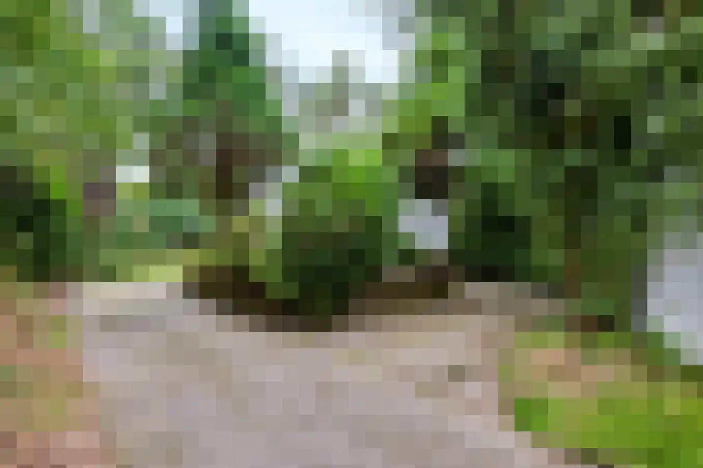 Lage Bergweg 41 11 Beekbergen thumbnail 33