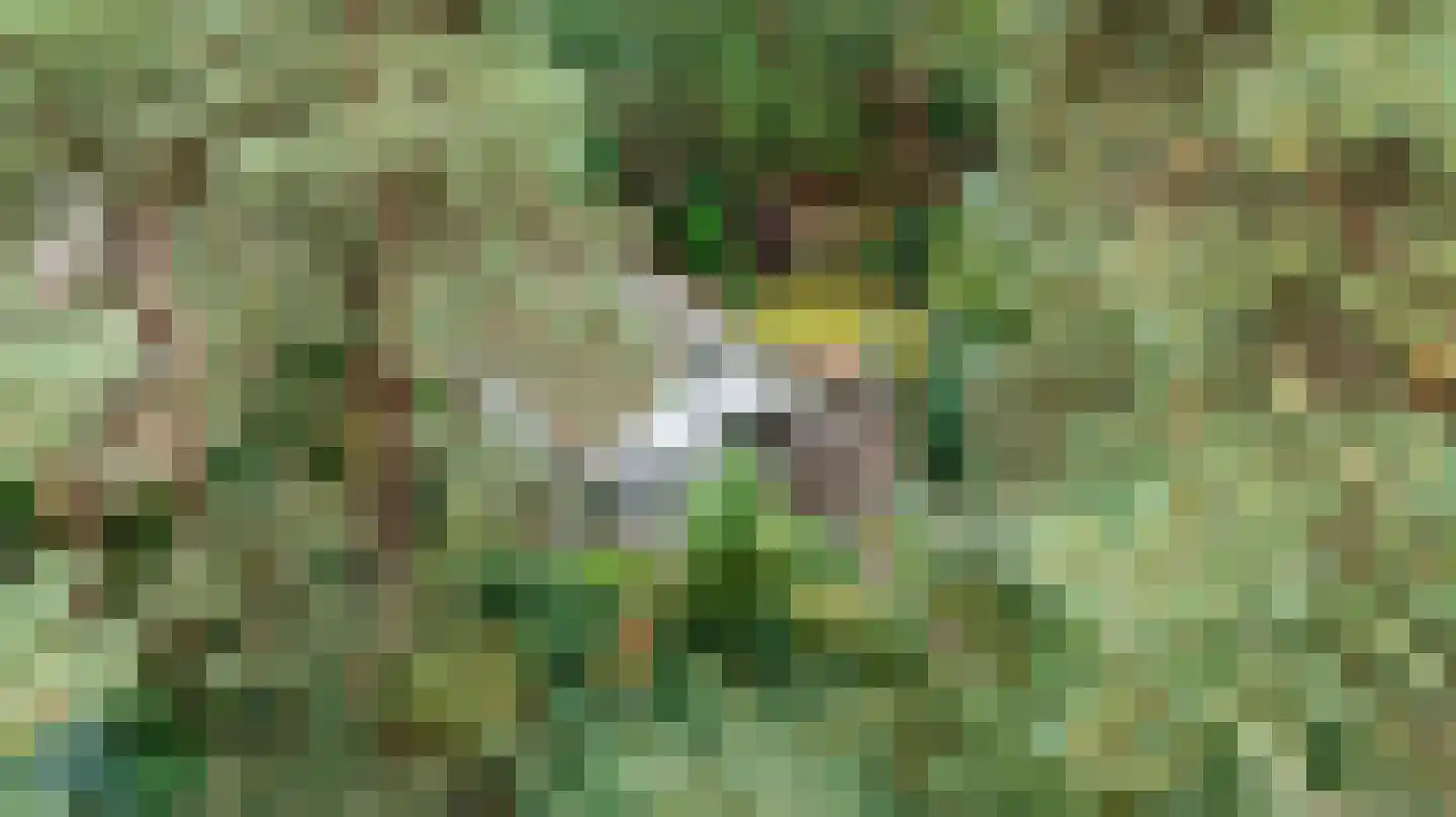 Lage Bergweg 41 11 Beekbergen thumbnail 38