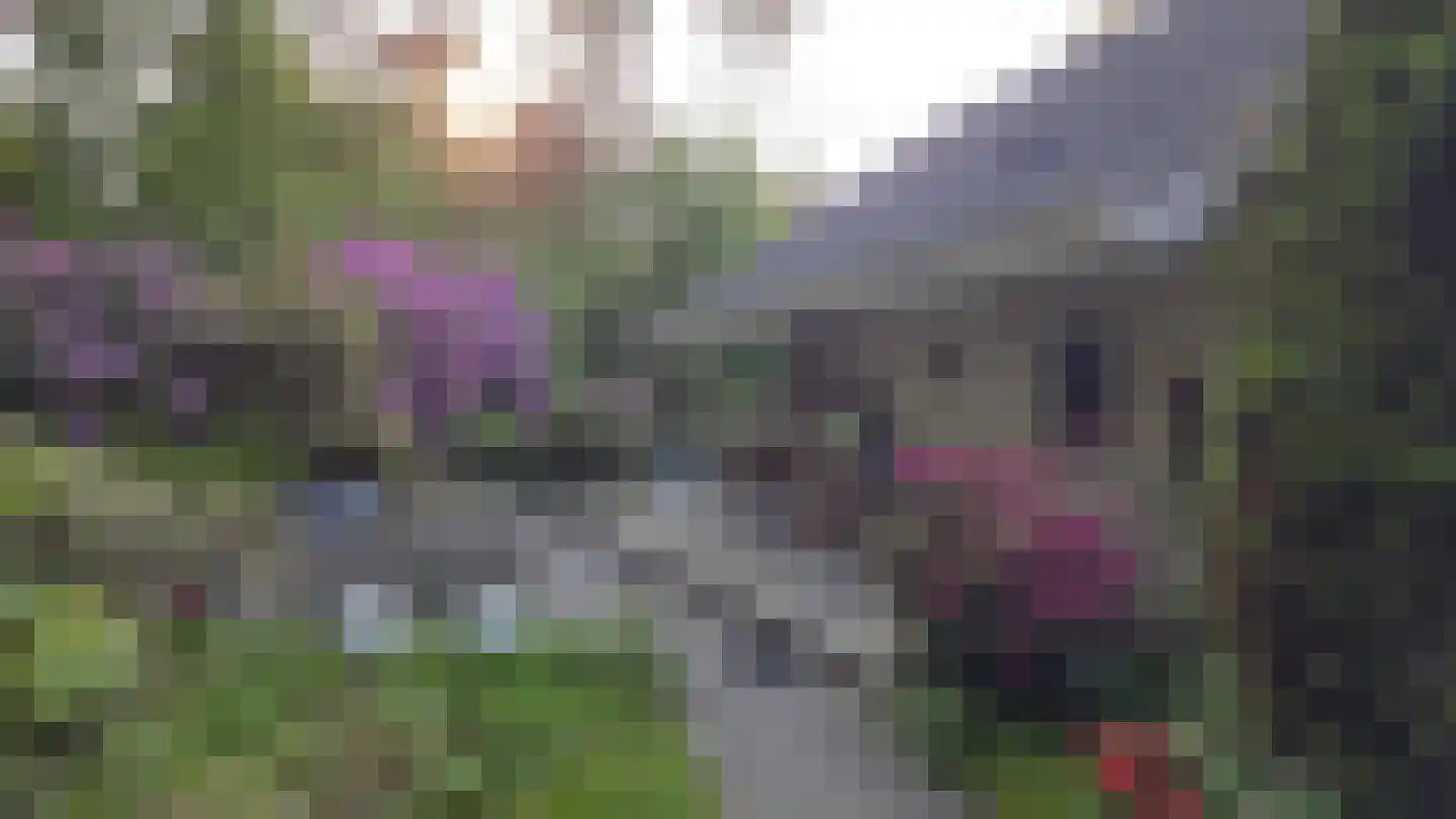 Lage Bergweg 41 11 Beekbergen thumbnail 41