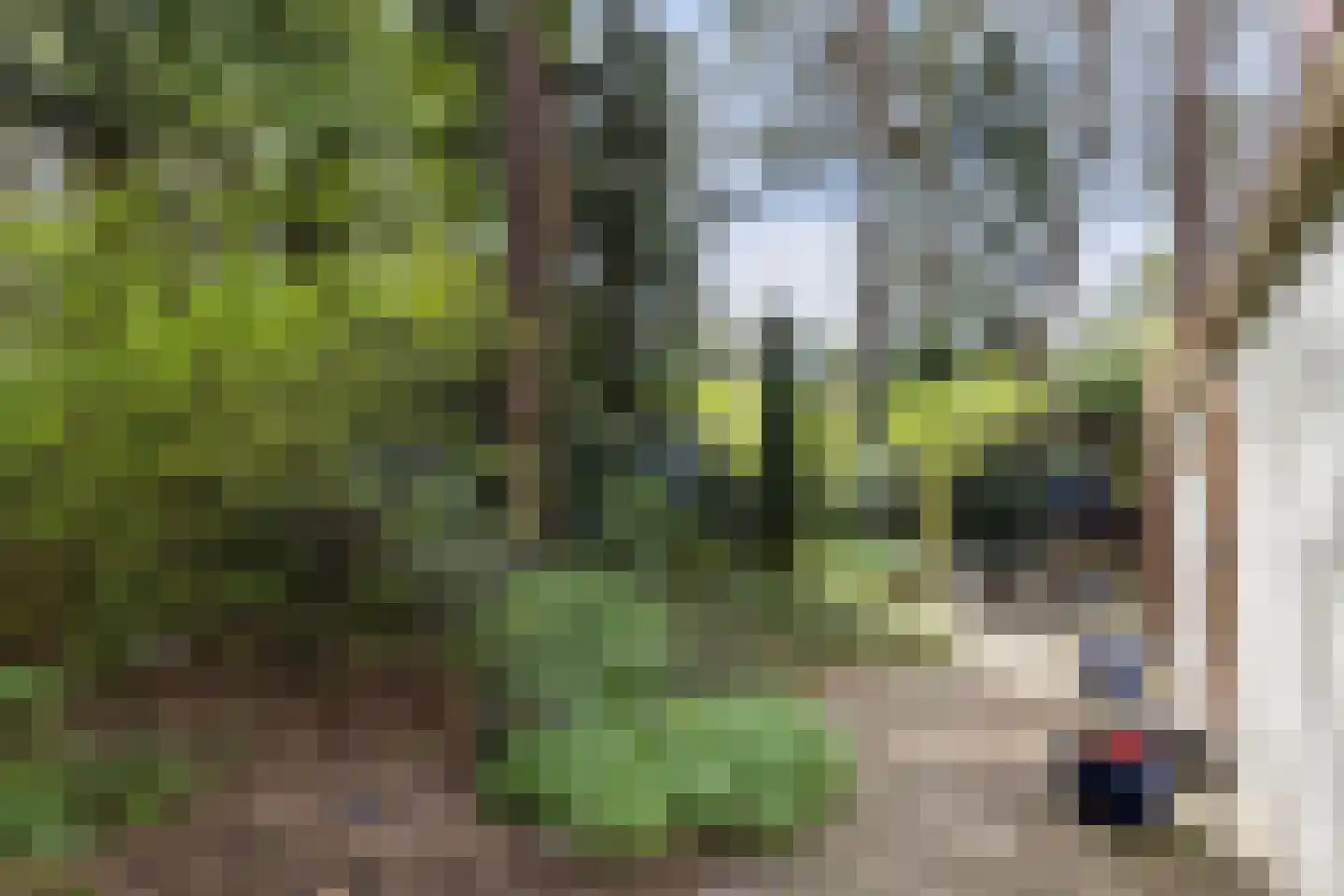Lage Bergweg 41 24 Beekbergen thumbnail 20