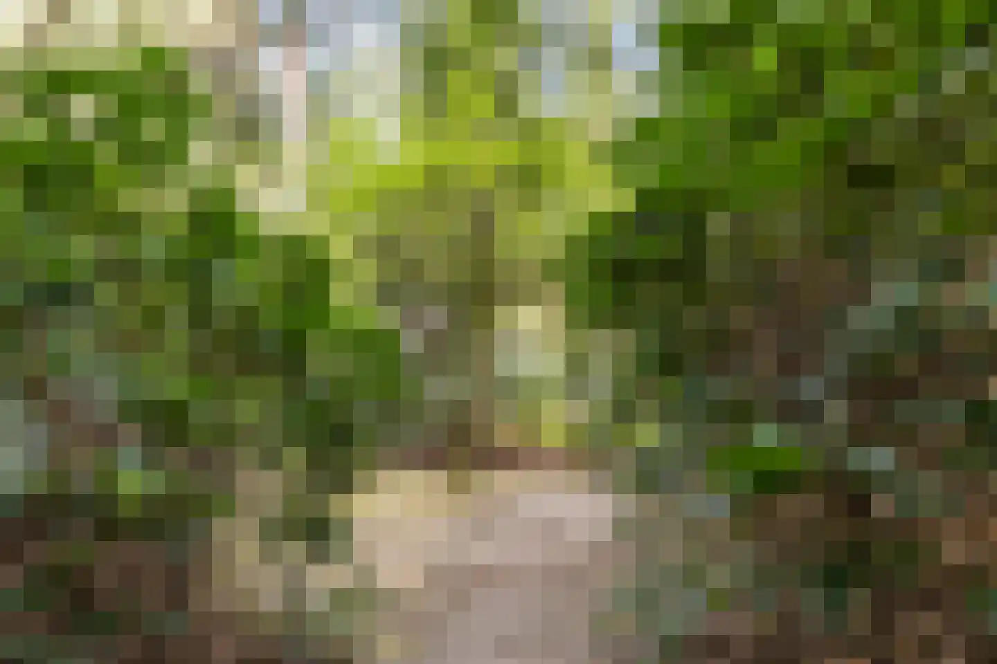 Lage Bergweg 41 24 Beekbergen thumbnail 23