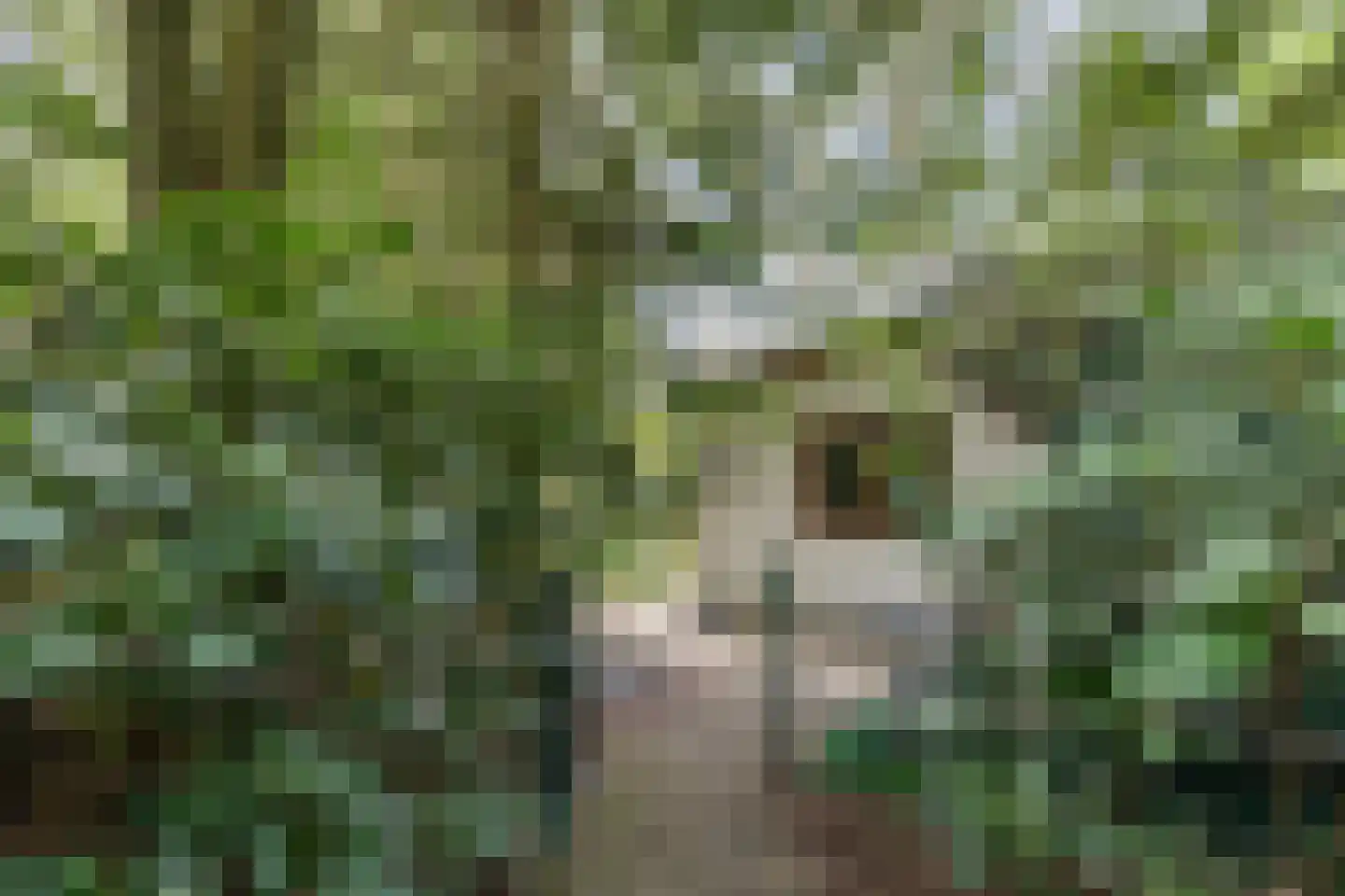 Lage Bergweg 41 24 Beekbergen thumbnail 24