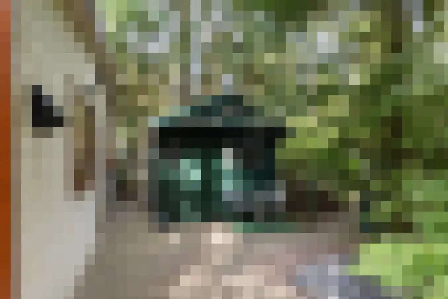 Lage Bergweg 41 24 Beekbergen thumbnail 25