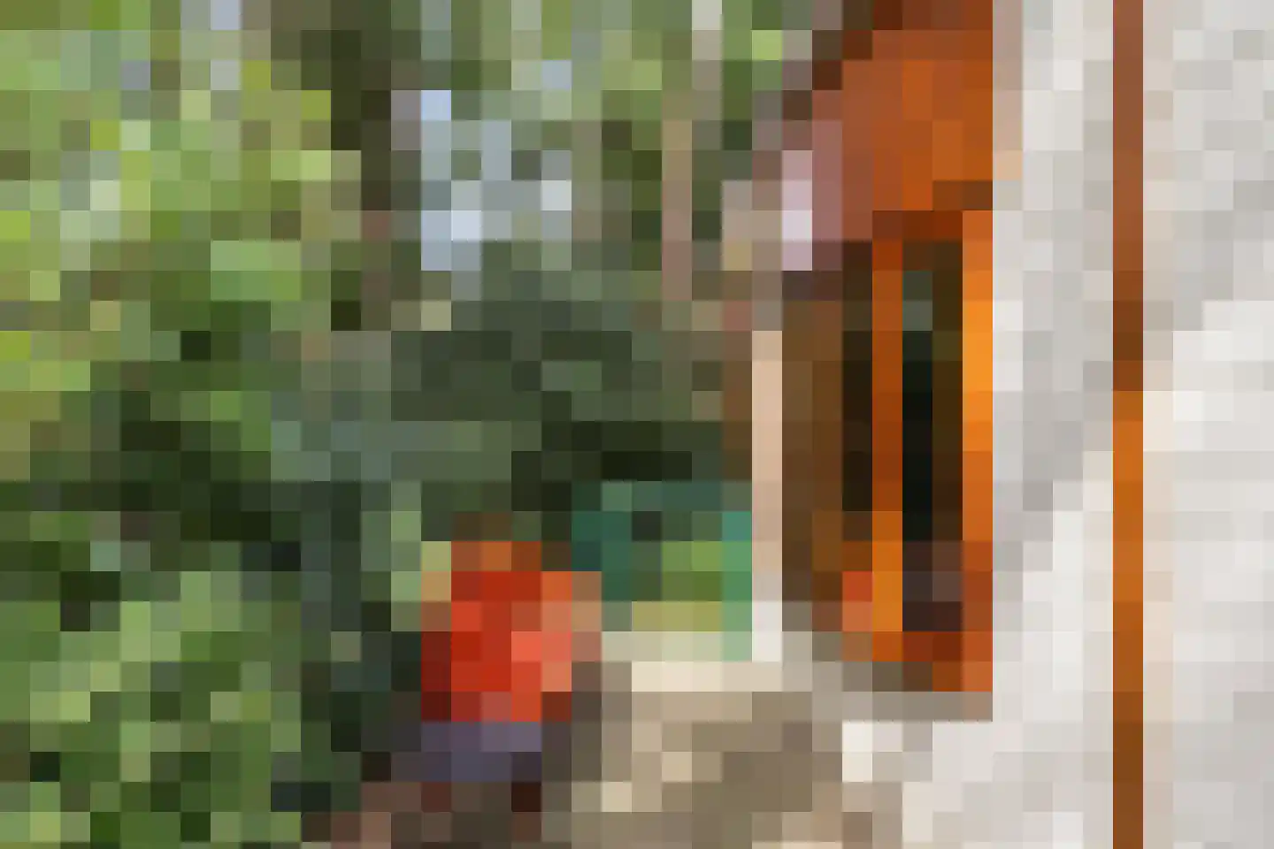 Lage Bergweg 41 24 Beekbergen thumbnail 26