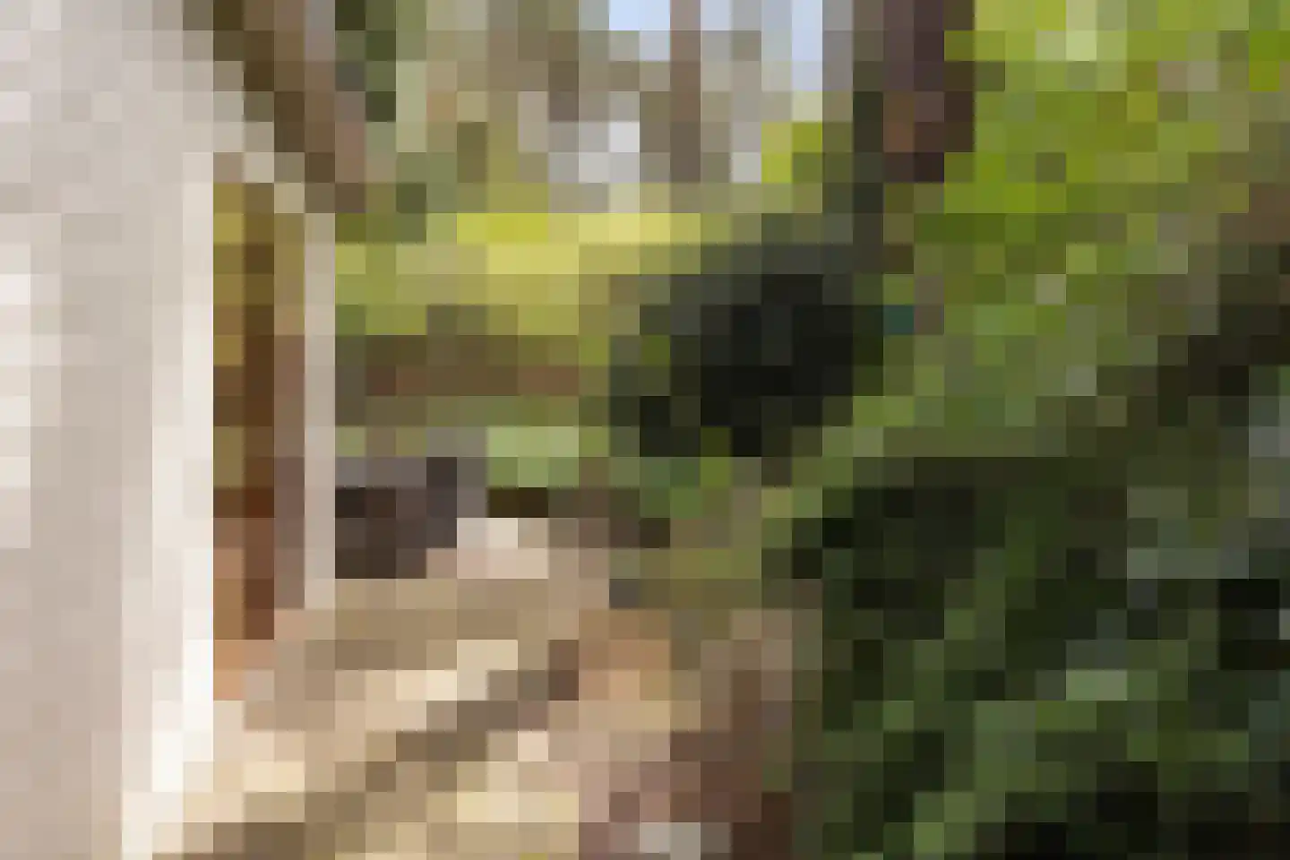 Lage Bergweg 41 24 Beekbergen thumbnail 27