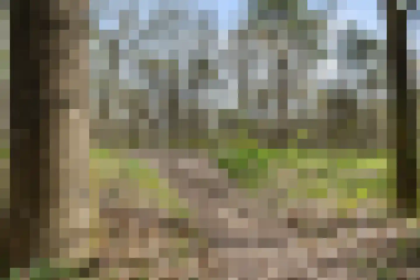 Lage Bergweg 41 24 Beekbergen thumbnail 29