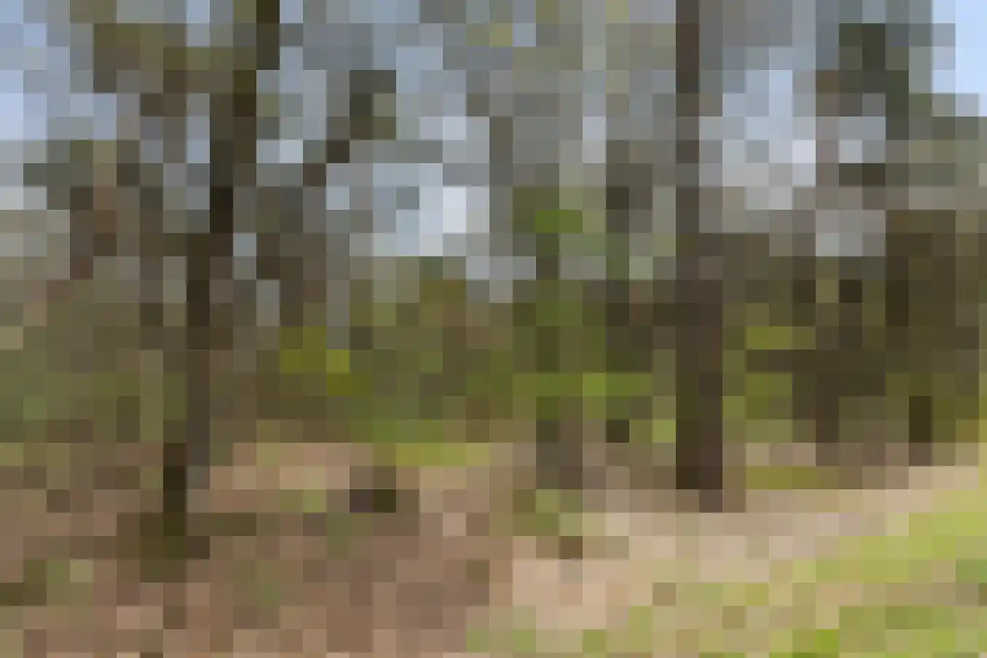 Lage Bergweg 41 24 Beekbergen thumbnail 30
