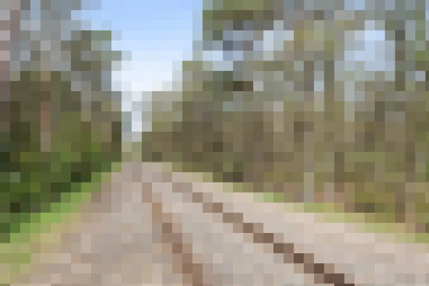 Lage Bergweg 41 24 Beekbergen thumbnail 31