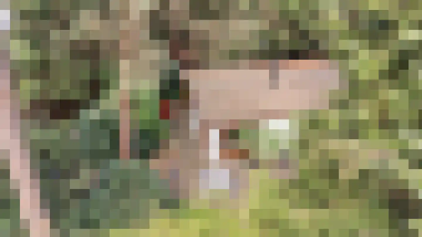 Lage Bergweg 41 24 Beekbergen thumbnail 33
